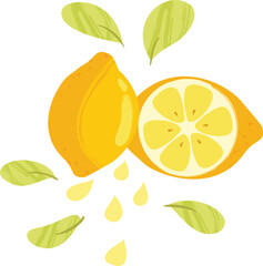 Half Lemon and Lemon Slice with Leaves &ndash; Colorfull Fruit Flat Vector Illustration - Healthy Vegan Lemonade