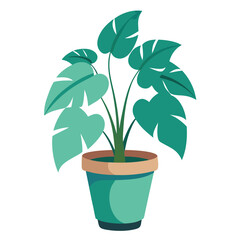 indoor plant on white background