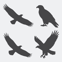 pigeon silhouette vector
