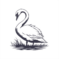 silhouette swan on white background