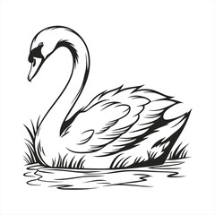 silhouette swan on white background