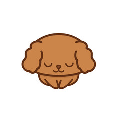 座ってお辞儀をするトイプードル