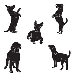Dog Vector And Silhouette Collection