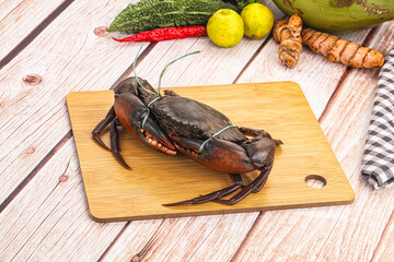 Wild raw crab for cooking