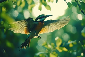 European bee eater perched among lush foliage with vibrant wings extended, European bee eater Merops apiaster The bird is sitting on a branch Close up
