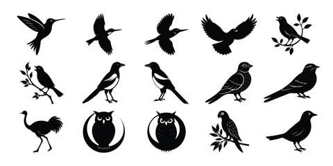 Bird Silhouette Vector Collection – Hummingbirds, Magpies, Owls, and Songbirds  on white background 