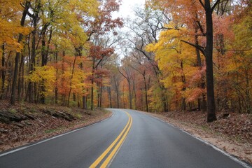 Obraz premium Asphalt Curves Through a Forest of Autumn Hues
