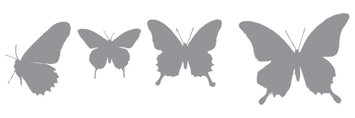 Flying butterflies silhouette black set isolated on white background. Set of butterfly in flight silhouettes. Set of butterflies. Butterfly silhouette icons set. Butterfly tattoo silhouettes. 