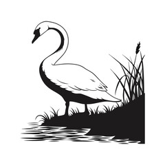 silhouette swan on white background