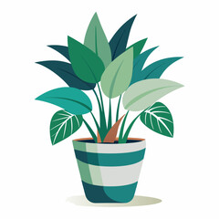 indoor plant on white background