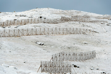 Snow Bridges for Avalanche Control