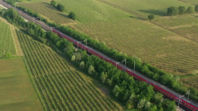 A train glides through rolling vineyards, its red color standing out against the green landscape. A breathtaking aerial perspective.