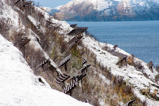 Snow Bridges for Avalanche Control