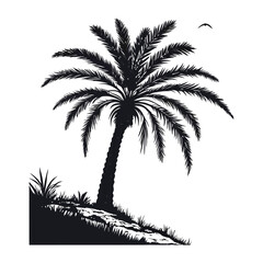Obraz premium silhouette palm tree on white background
