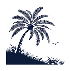 Fototapeta premium silhouette palm tree on white background