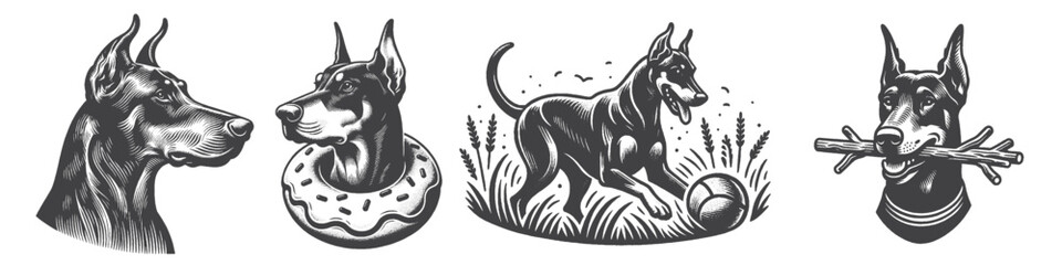 Obraz premium Vintage Hand-Drawn Dog Doberman Collection Illustration, Pets Animal Engraved Style Vector for T-Shirts and Playful Themes Design