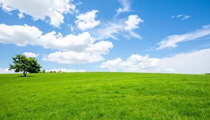 草原と地平線