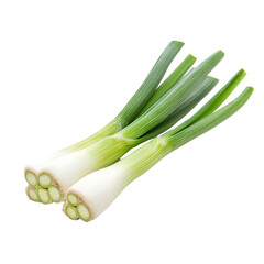 Fresh leek isolated on Transparent background perfect for culinary presentations and recipes, Leek isolated on PNG background