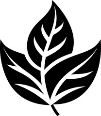 vector black silhouette of plant