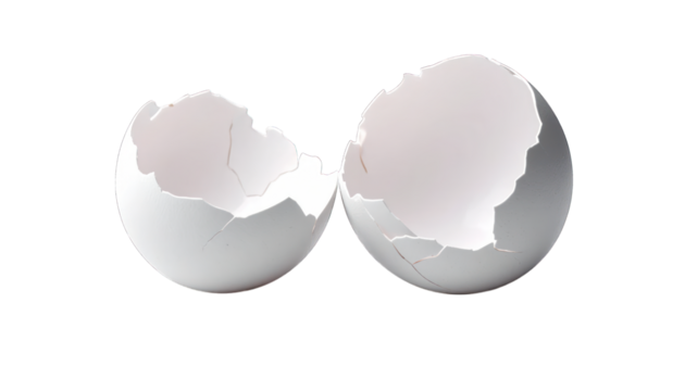 Broken egg shell halves