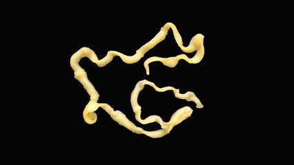 Tapeworm infection is caused by ingesting food or water contaminated with tapeworm eggs or larvae...