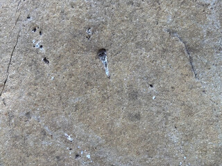 Natural gray brown stone texture background, backdrop	
