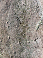 Natural gray brown stone texture background, backdrop	
