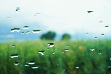 Abstraktes Landschaftspanorama mit Regentropfenmuster vor grünem Weizenfeld mit roten Mohnblumen, Bäumen und Himmel mit Licht bei Sturm und Regen am Nachmittag im Frühling