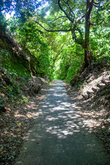 Obraz premium A road stretching into the distance.