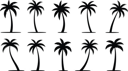 Palm tree silhouette vector collection, tropical tree icons set, beach landscape design elements, exotic nature clipart, black isolated palm shapes
