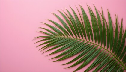Obraz premium Tropical Palm Leaf on Soft Pink Background in Flat Lay Style