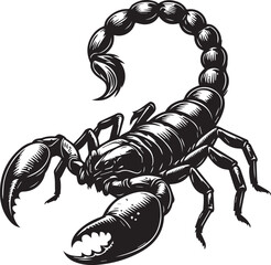 Black and White Scorpion Vector Illustration – Aggressive Insect Tattoo Design