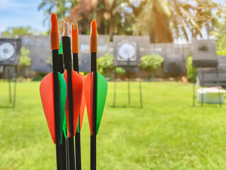 Close up to feather end of archery arrows at outdoor archery shooting range. Archery equipment....