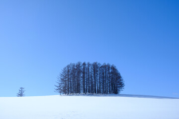 冬の富良野美瑛の雪景色