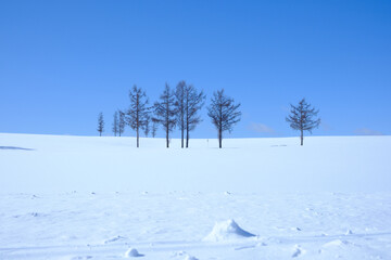 冬の富良野美瑛の雪景色