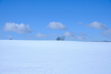 冬の富良野美瑛の雪景色