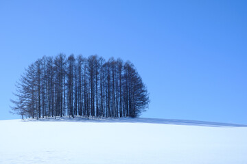 冬の富良野美瑛の雪景色