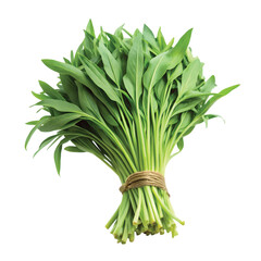 Obraz premium Water Spinach (Morning Glory): A bundle of water spinach with long stems and narrow leaves, PNG file for mock-up