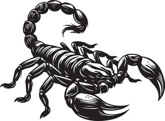 Black and White Scorpion Vector Illustration – Aggressive Insect Tattoo Design
