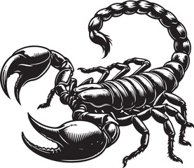 Black and White Scorpion Vector Illustration – Aggressive Insect Tattoo Design