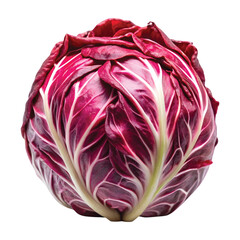 Radicchio Head: A whole head of red radicchio with tightly packed purple leaves and white veins, PNG file for mock-up