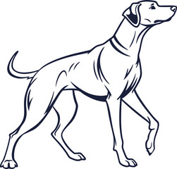 Obraz premium vector illustration of a cartoon dog