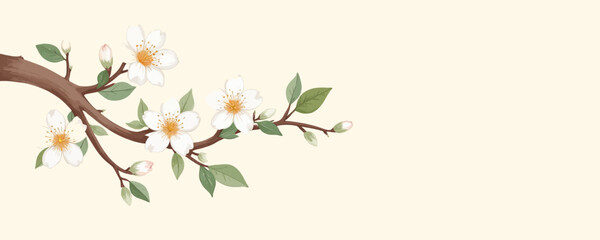 Blossoming Branch with White Flowers and Green Leaves