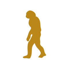 Hand drawn human evolution illustration 