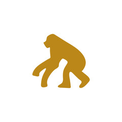 Obraz premium Hand drawn human evolution illustration 