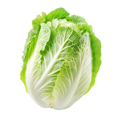 Obraz premium Fresh iceberg cabbage isolated on white background suitable for culinary uses and healthy recipes, iceberg cabbageisolated on white background