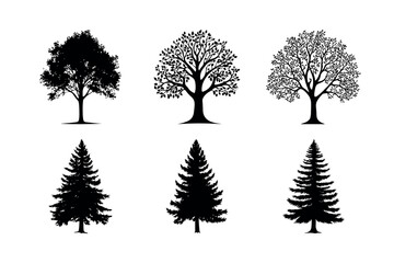 Six black silhouettes of trees deciduous and coniferous