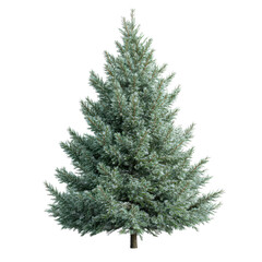 Fototapeta premium Festive green Christmas tree with lush branches on a white background for holiday decoration, Green Christmas tree. white background