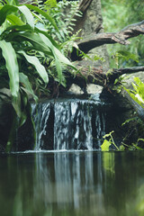 Peaceful waterfall cascades in a green lush setting