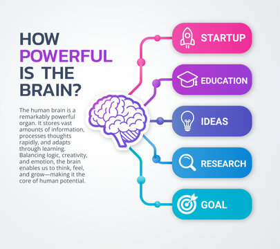The infographic, “How Powerful Is the Brain?”, highlights the incredible capabilities of the human brain, showing how it drives innovation, learning, and personal development. Infographic template